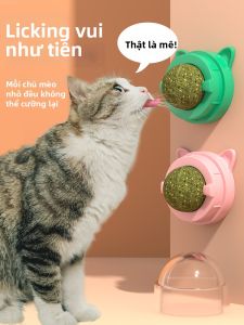 XIAOGUSHI | Quả Cầu Bạc Hà Chống Mài Răng Cho Mèo
