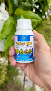 Phân Bón Hữu Cơ TFC ROOTS Msp AMINO GA3 – Lấy Nhụy Nhanh Trội Hột Mạnh Kéo Dài Trái Tròn Trái Tăng Độ Bóng Vỏ Trái Đòng To Bông Bự Chống Rụng Tức Thời (Chai 100ml)