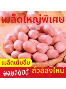 Fresh Green Large Peanuts
