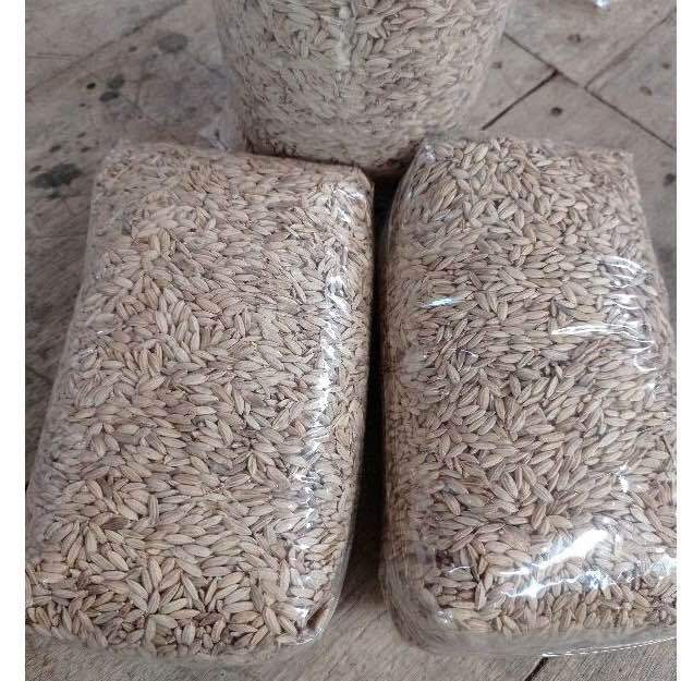 Bibit%20PADI%20Huma%20beras%20merah%205kg%20-%20Image%204