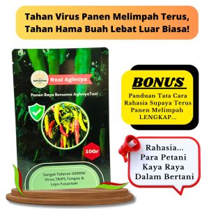 Benih Cabe Rawit Real Aghniya 10 Gram Buah Super Lebat 10gr Isi 1. 800 Butir buah tipe menggantung dengan ketahanan dan kualitas terbaik Anti Virus Kuning GEMINI Toleran antraknosa dan layu tahan patek bibit cabai rawit merah setan putih Master viral
