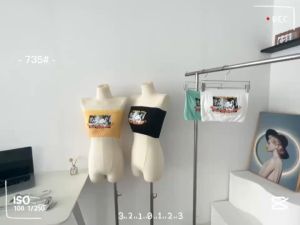 Kemben Seamless Tanpa Tali Anti Slip WARNA Pakaian Dalam Wanita - INDO UNDERWEAR
