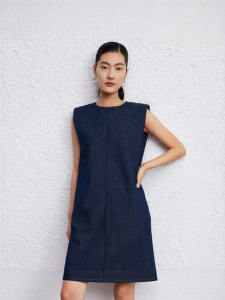 Eastern Light | Slimming New Jeans Dress