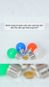 (Rạng Đông) Bóng đèn LED BULB tròn 1W Đủ màu Trắng Đỏ Xanh dương Xanh lá A45