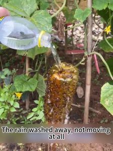 Fruit fly trap attractant spray 450 ML Not afraid of sun or rain Lasting for 30 days Fruit pest protection Super strong stickiness to catch flies and mosquitoes