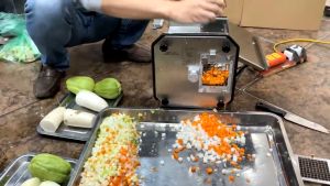 Máy thái hạt lựu rau củ thái thạch thái cà rốt thạch dừa củ cải hành cỡ 6-8-10-12mm