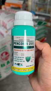 Thuốc trừ bệnh Penconbin 25SC - Sạch bệnh xanh lá sáng bông
