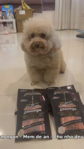 Xúc Xích Gà Mini Doggyman (11 cây - 24 cây)