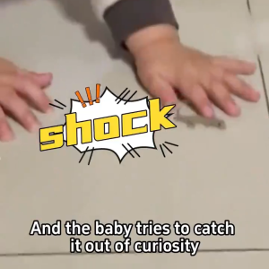 Lizard dies and air-dries after eating Lizard repellent 8 Pcs/Box Lizard killer Gecko repellent Racun cicak Ubat cicak paling berkesan Racun cicak paling kuat 壁虎驱除剂 驱赶壁虎 壁虎毒药 杀壁虎 防壁虎药