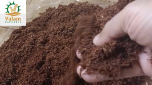 3L CocoPeat Potting Mix Soil - For Home garden & flowering Plants (Low EC balanced pH Mild Acidic) Indoor & Outdoor Coco Peat Potting Mix Costco Potting Soil Price - Lazada