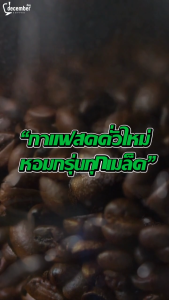 December Day Coffee เมล็ดกาแฟคั่วสด สูตร S4 (Special Blend) คั่วเข้ม 500g.