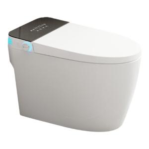 Smart Automatic Voice Controlled Foam Shield Toilet