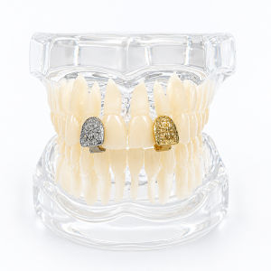 Adorable Animal-Shaped Single Tooth Ring Spider Matte Style Personalized Gold Teeth For Men And Women HIPHOP Jewelry Accessory