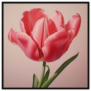 Tranh treo tường dán tường Canvas hoa Tulip. CGI-33