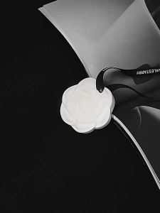 Penghantaran dari China [2025] Penyegar Udara Kereta Penyebar Plaster Camellia Gantung Wangian Almari Pakaian Penyahbau Wangian Tahan Lama Gantung Almari Pakaian Penyahbau Tablet Wangian 3.8