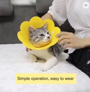Cat Recovery Collar Pet Dog E-Collar Elizabeth Circle Cute Flower Neck Kitty Cones After Surgery 4.9