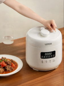 2-in-1 Multi-functional Pressure Cooker 4L