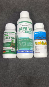 Combo Chặn Đọt Đậu Bắp – Hãm Ngọn Ra Hoa Nhiều Đậu Trái Sai | Japa Vil 110SC + Caltop Xtra + Foliflo Excellent
