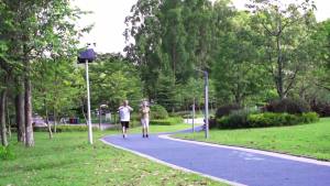 Terahertz Permanent Magnet Vibrating Massage Shoes with Magnetic Therapy Quantum Energy Vibration Chip Function Elderly Walking Shoes