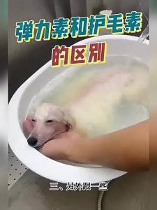 MUSENTANG | Quick Repair & Anti-Tangle Pet Hair Conditioner