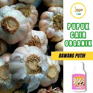 Pupuk Organik Cair Bawang Putih 100 Ml Booster Penyubur Dan Penggemuk Tanaman By Jagotani Yogyakarta