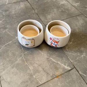 Chậu Sứ Trồng Cây Cảnh Mini Sen Đá Xương Rồng Hình Kim Cương Thấp In Hình