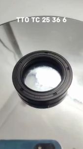 Seal Tc 25 36 6 TTO INB Original TTO