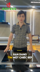 Bếp Từ Hafele HC-I603B 536.61.791 – Chính hãng mặt kính Schott Ceran chống trầy điều khiển cảm ứng nhạy vận hành ổn định