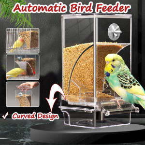 Bird Feeder Hanging Bowl for Bird Drinker Bird Toys for Bird Accessories Automatic Food Dispenser