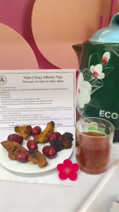 Nấm Chaga Nga Giảm Huyết Áp Giảm Mỡ Máu Giảm Cholesterol Tăng Cường Hệ Miễn Dịch Giải Độc Gan