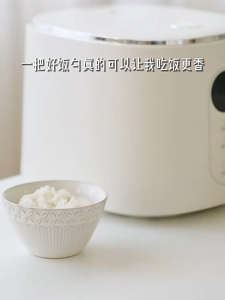 Senduk Nasi Silikon Anti Lekat 可站立木柄硅胶饭勺 Non Stick Silicone Rice Paddle