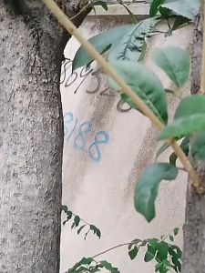 Thick Multifunctional Drying Line Nylon Non-Slip Windproof Clothesline 10 Meters Drying Clothes Outdoor Drying Quilt Sunshade Net Rope COD