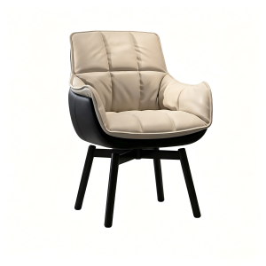 XIANDAIDUSHI | Rotatable Dining & Study Leisure Chair