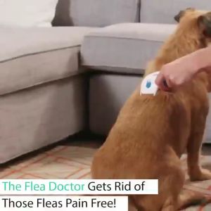 หวีกำจัดเห็บ หวีสางเห็บหมัด LI0270 กำจัดเหา หวีสางเห็บ เป็นเครื่องหมายที่สำคัญ หวีสมัครหมา แมว รุ่น