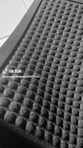 Keset Karpet Toilet Bulu Waterhog Anti Slip Entrance Mat