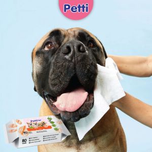 Petti Dog Pet Wipes Extra Thick Wet Tissue Tuala Basah Tebal Tisu Basah Anjing Wet Wipes 宠物湿巾 (24 x 80s 1 Carton)
