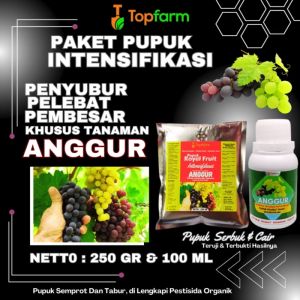 Pupuk Anggur Brazil Cepat Berbuah / Pupuk Khusus Buah Anggur / Pupuk Organik Cair Khusus Anggur / Pupuk Anggur Brazil / Pupuk Khusus Anggur / Pupuk Buah Anggur Brazil