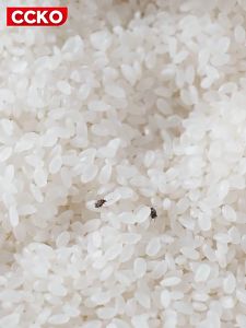 Thùng đựng gạo ngũ cốc CCKO CK9305 10kg - WorldMart