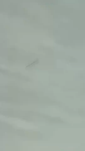 Bubblewrap Packing Extra Pelindung Barang untuk Pengiriman Lebih Aman