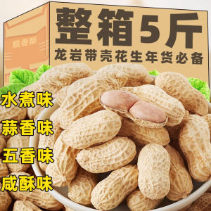 Longyan Wet Roasted Peanuts Shell on Snack Garlic Flavor Red Skin Roasted Nuts Leisure Food Dry Edible Treats Baby Snacks