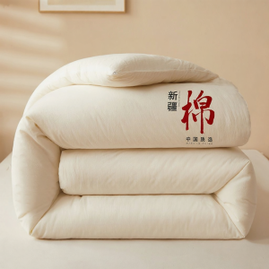 NAIYOUCHENG | Thickened Warm Quilt Single Bed Dormitory Winter Autumn Spring