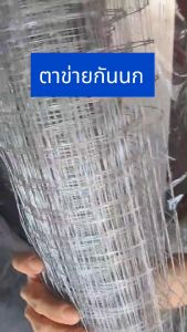 ตาข่ายกันนก สีขาวใส ความยาว 5 เมตร 10 เมตร ตาข่ายพลาสติก ยกม้วน 30 เมตร ตาข่ายกรงนก ตาข่ายล้อมไก่