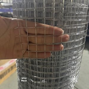 Galvanized Wire Mesh Fence Chicken Farming Animal Husbandry Protection against Rodents Small Grid Iron Net Balcony Guardrail