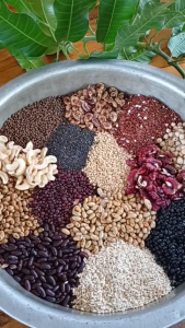 1KG Bột ngũ cốc dinh dưỡng 15 hạt Không đậu nành