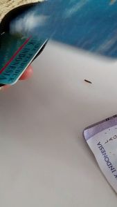 Dompet rajut motif kacang 2