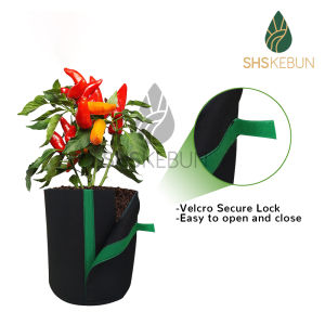 Nonwoven Planter Transplanting Bag with Velcro Strap SHS Kebun