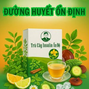 TẶNG 1 HỘP TRÀ INSULIN ẤN ĐỘ KHI MUA 4 HỘP