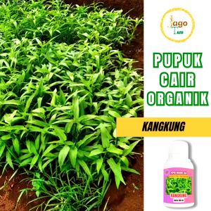 Pupuk Organik Cair Penyubur Kangkung 100 Ml Hormon Agar Tumbuh Lebat By Jagotani Yogyakarta