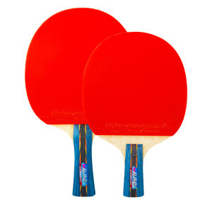 Professional Grade 4 Stars Table Tennis Racket