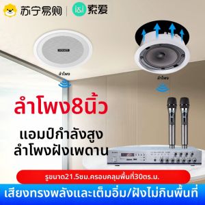 ลำโพงไร้สาย Bluetooth Sony Ericsson พร้อมแอมป์รับประทานผนัง ลำโพงบลูทูธสำหรับร้านค้าและห้องโถงขนาดใหญ่ ลำโพงเพดานแบบติดแน่น 310